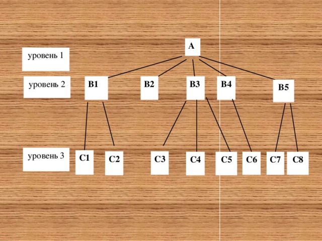 А уровень 1 В3 В2 В1 уровень 2 В4 В5 уровень 3 С1 С3 С2 С6 С4 С7 С8 С5 
