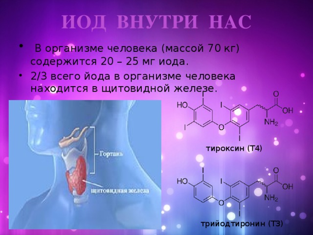ИОД ВНУТРИ НАС  В организме человека (массой 70 кг) содержится 20 – 25 мг иода. 2/3 всего йода в организме человека находится в щитовидной железе. тироксин (Т4) трийодтиронин (ТЗ)