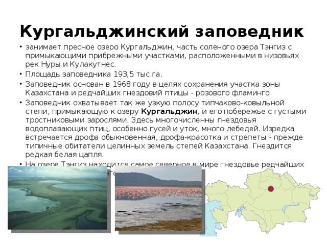 Кургальджинский заповедник занимает пресное озеро Кургальджин, часть соленого озера Тэнгиз с примыкающими прибрежными участками, расположенными в низовьях рек Нуры и Кулакутнес. Площадь заповедника 193,5 тыс.га. Заповедник основан в 1968 году в целях сохранения участка зоны Казахстана и редчайших гнездовий птицы - розового фламинго Заповедник охватывает так же узкую полосу типчаково-ковыльной степи, примыкающую к озеру Кургальджин , и его побережье с густыми тростниковыми зарослями. Здесь многочисленны гнездовья водоплавающих птиц, особенно гусей и уток, много лебедей. Изредка встречается дрофа обыкновенная, дрофа-красотка и стрепеты - прежде типичные обитатели целинных земель степей Казахстана. Гнездится редкая белая цапля. На озере Тэнгиз находится самое северное в мире гнездовье редчайших птиц розовых фламинго.   