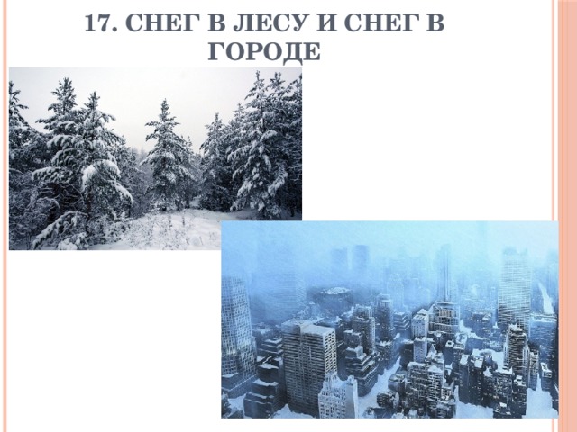 17. Снег в лесу и снег в городе 