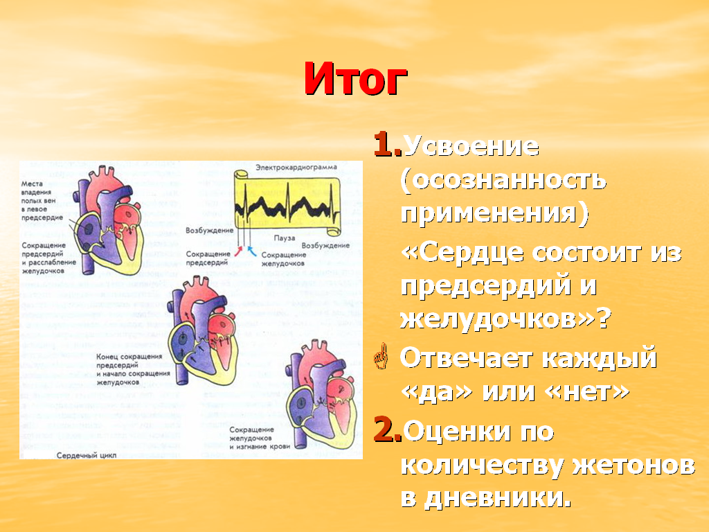 Сердечно сосудистые заболевания первая помощь при кровотечении 8 класс презентация пасечник