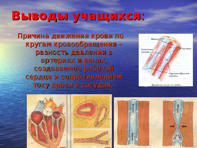 Выводы учащихся : Причина движения крови по кругам кровообращения – разность давления в артериях и венах, создаваемое работой сердца и сопротивлением току крови в сосудах. 11 