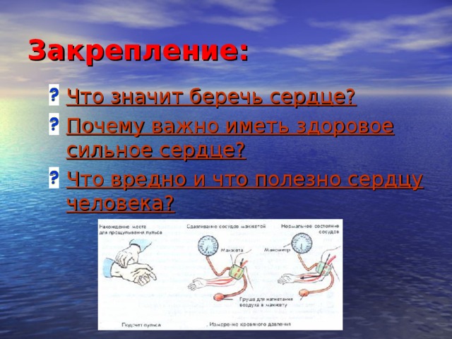 Закрепление: Что значит беречь сердце? Почему важно иметь здоровое сильное сердце? Что вредно и что полезно сердцу человека? 14 