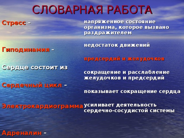 СЛОВАРНАЯ РАБОТА напряженное состояние организма, которое вызвано раздражителем  недостаток движений  предсердий и желудочков  сокращение и расслабление желудочков и предсердий  показывает сокращение сердца  усиливает деятельность сердечно-сосудистой системы Стресс –   Гиподинамия –  Сердце состоит из  Сердечный цикл –  Электрокардиограмма    Адреналин – 14 