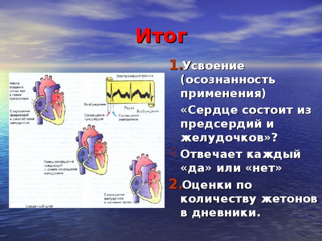 Помощь при кровотечениях Внутреннее кровотечение – кровь изливается в полость сердца, в полость легких, в брюшную полость. По внешнему виду можно отличить: бледность, липкий пот на лбу, головокружение. Срочно скорую помощь. Положить лед! Артериальное кровотечение – жгут на плечевую кость. Венозное кровотечение – тугую повязку. Капиллярное кровотечение – обработать рану (вокруг раны йодом).  