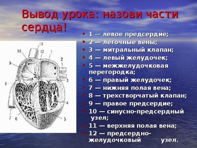 САМОСТОЯТЕЛЬНАЯ РАБОТА  С КАРТОЧКОЙ  ФАКТОР РИСКА  1 ИЗБАВЛЕНИЕ ОТ РИСКА  ГИПОДИНАМИЯ 2 ИЗБЫТОЧНОЕ ПИТАНИЕ 3 СТРЕССЫ 4 КУРЕНИЕ 5 УПОТРЕБЛЕНИЕ АЛКОГОЛЯ  