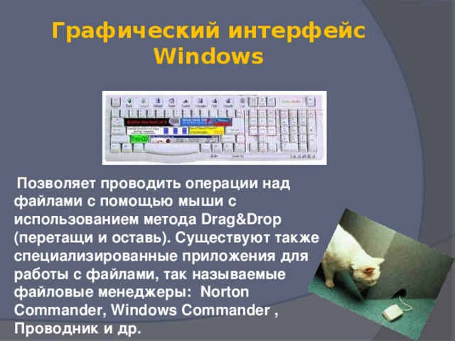 Графический интерфейс Windows  Позволяет проводить операции над файлами с помощью мыши с использованием метода Drag&Drop (перетащи и оставь). Существуют также специализированные приложения для работы с файлами, так называемые файловые менеджеры: Norton Commander, Windows Commander , Проводник и др. 