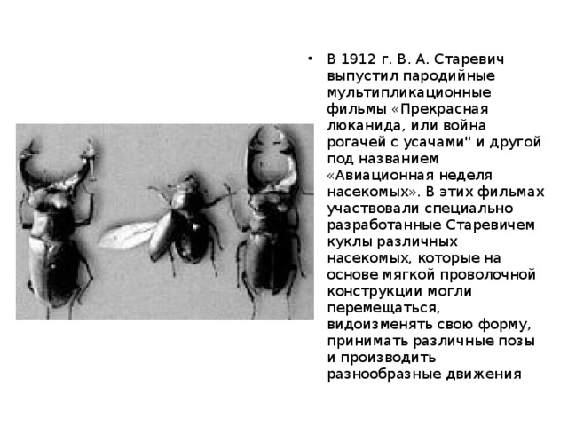 В 1912 г. В. А. Старевич выпустил пародийные мультипликационные фильмы «Прекрасная люканида, или война рогачей с усачами