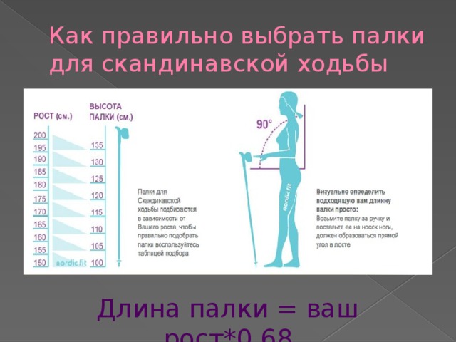 Как правильно выбрать палки для скандинавской ходьбы Длина палки = ваш рост*0,68 