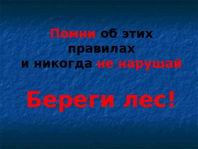 Помни об этих правилах и никогда не нарушай Береги лес! 