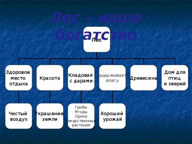 Лес – наше богатство Лес Красота Кладовая с дарами З адер живает влагу Древесина Дом для птиц и зверей Здоровое место отдыха Чистый воздух Украшение земли Грибы Ягоды Орехи Лекарственные растения Хороший урожай 