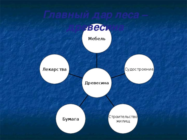 Главный дар леса – древесина Мебель Лекарства Судостроение Древесина Бумага Строительство жилищ 