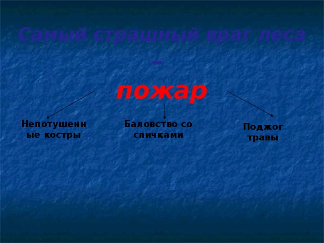 Самый страшный враг леса – пожар Непотушенные костры Баловство со спичками Поджог травы 