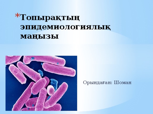 Топырақтың эпидемиологиялық маңызы  Орындаған: Шоман Ленара 