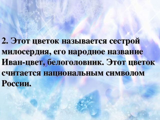 2. Этот цветок называется сестрой милосердия, его народное название Иван-цвет, белоголовник. Этот цветок считается национальным символом России.