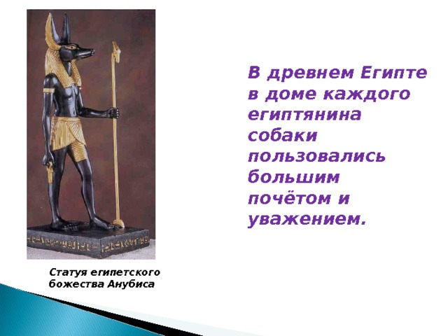 В древнем Египте в доме каждого египтянина собаки пользовались большим почётом и уважением.   Статуя египетского божества Анубиса 