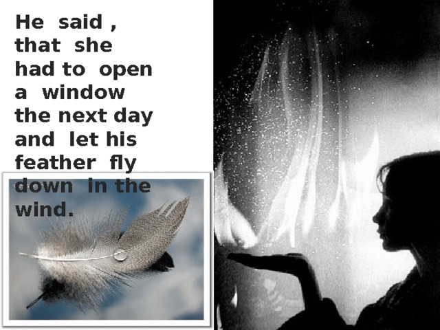He said , that she had to open a window the next day and let his feather fly down in the wind. 