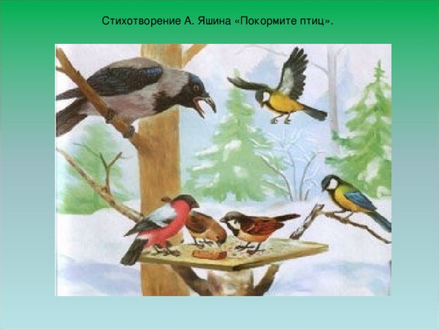 Стихотворение А. Яшина «Покормите птиц».