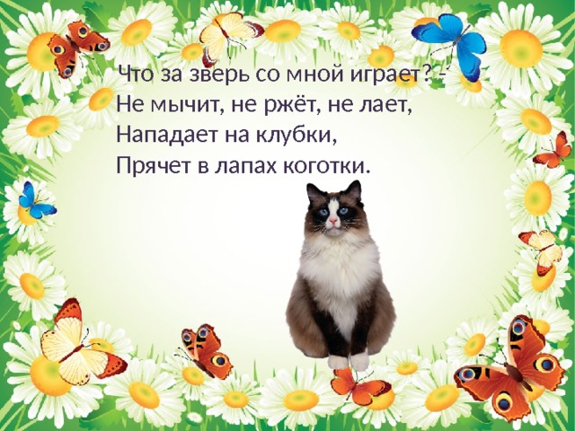  Что за зверь со мной играет? -  Не мычит, не ржёт, не лает,  Нападает на клубки,  Прячет в лапах коготки. 