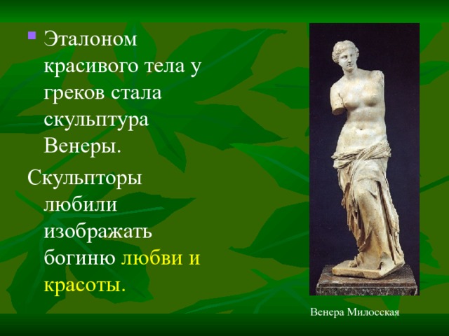 Эталоном красивого тела у греков стала скульптура Венеры. Скульпторы любили изображать богиню любви и красоты. Венера Милосская 