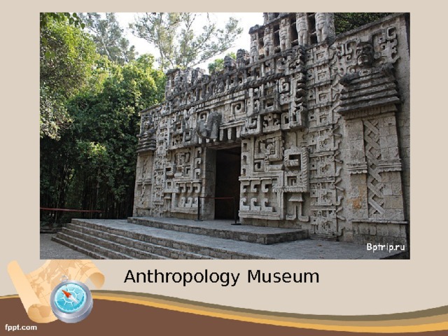 Anthropology Museum 