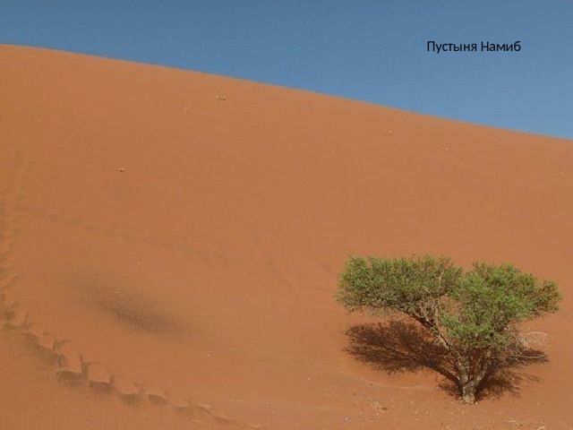 Пустыня Намиб 