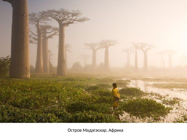 Остров Мадагаскар, Африка 