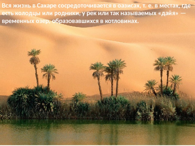 Вся жизнь в Сахаре сосредото­чивается в оазисах, т. е. в местах, где есть колодцы или родники, у рек или так называемых «дайя» — временных озер, образовавшихся в котловинах. 