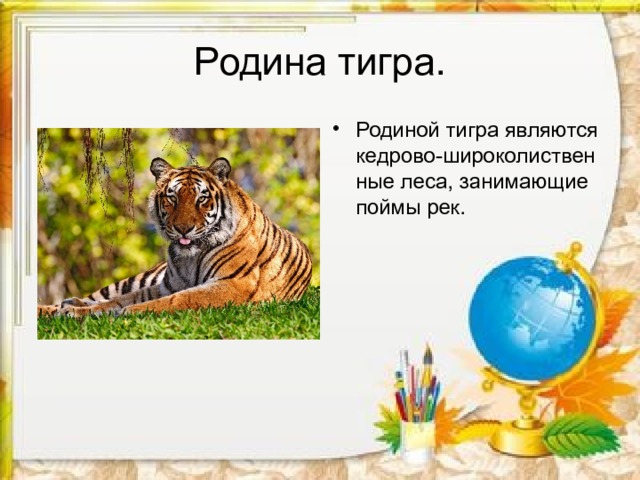 Родина тигра. Родиной тигра являются кедрово-широколиственные леса, занимающие поймы рек. 