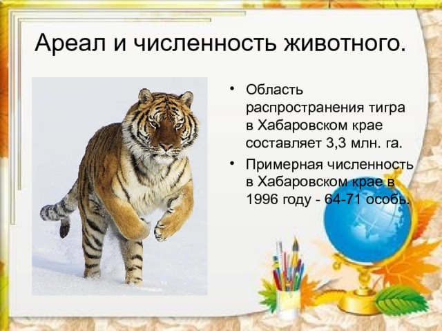 Ареал и численность животного. Область распространения тигра в Хабаровском крае составляет 3,3 млн. га. Примерная численность в Хабаровском крае в 1996 году - 64-71 особь. 