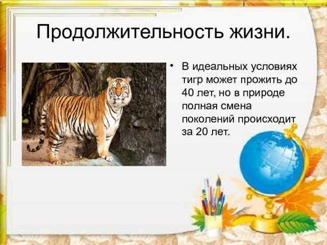 Продолжительность жизни. В идеальных условиях тигр может прожить до 40 лет, но в природе полная смена поколений происходит за 20 лет. 