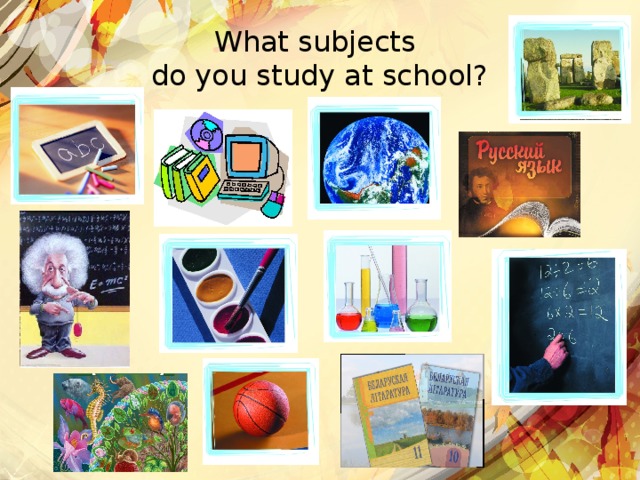 What subjects do you study at school?