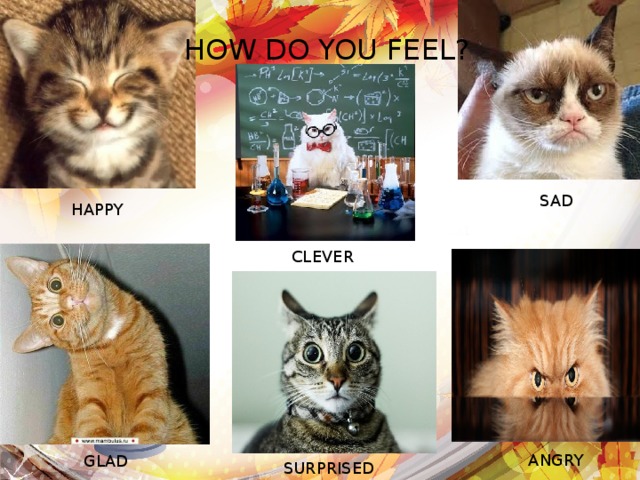 HOW DO YOU FEEL? SAD HAPPY CLEVER ANGRY GLAD SURPRISED
