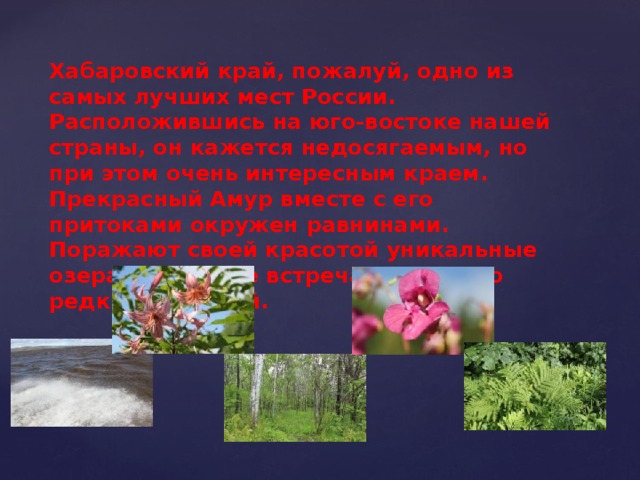 Хабаровский край, пожалуй, одно из самых лучших мест России. Расположившись на юго-востоке нашей страны, он кажется недосягаемым, но при этом очень интересным краем. Прекрасный Амур вместе с его притоками окружен равнинами. Поражают своей красотой уникальные озера, леса, где встречаются много редких растений. 