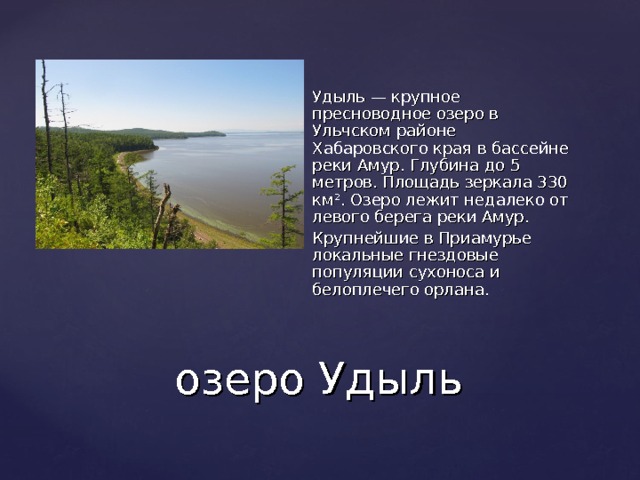 Удыль — крупное пресноводное озеро в Ульчском районе Хабаровского края в бассейне реки Амур. Глубина до 5 метров. Площадь зеркала 330 км². Озеро лежит недалеко от левого берега реки Амур. Крупнейшие в Приамурье локальные гнездовые популяции сухоноса и белоплечего орлана. озеро Удыль 