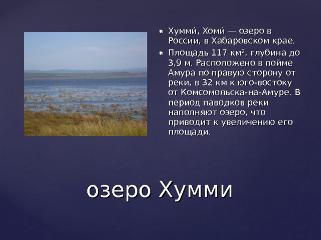 Хумми́, Хоми́ — озеро в России, в Хабаровском крае. Площадь 117 км², глубина до 3,9 м. Расположено в пойме Амура по правую сторону от реки, в 32 км к юго-востоку от Комсомольска-на-Амуре. В период паводков реки наполняют озеро, что приводит к увеличению его площади. озеро Хумми 