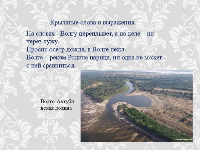 Крылатые слова и выражения. На словах - Волгу переплывет, а на деле – ни через лужу.  Просит осетр дождя, в Волге лежа. Волга – рекам Родина царица, ни одна не может с ней сравниться. Волго-Ахтубинская долина 