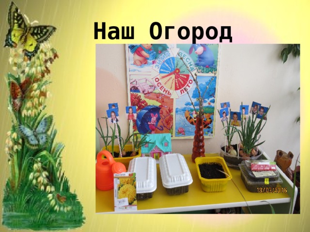 Наш Огород 