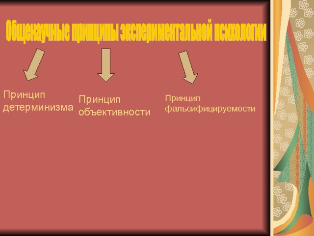 Принцип детерминизма Принцип фальсифицируемости Принцип объективности 