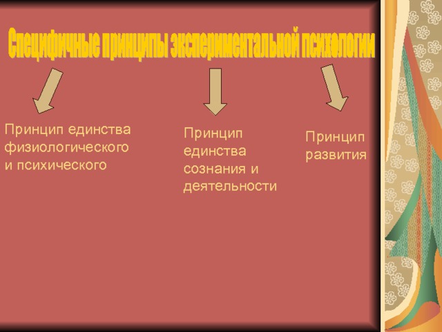 Принцип единства физиологического и психического Принцип единства сознания и деятельности Принцип развития 