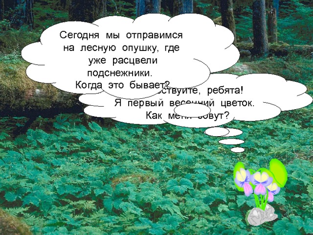 Сегодня мы отправимся на лесную опушку, где уже расцвели подснежники. Когда это бывает? Здравствуйте, ребята! Я первый весенний цветок. Как меня зовут? 