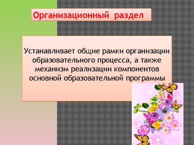 Организационный раздел  Устанавливает общие рамки организации образовательного процесса, а также механизм реализации компонентов основной образовательной программы 