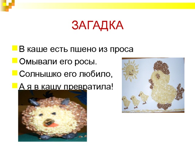 ЗАГАДКА В каше есть пшено из проса Омывали его росы. Солнышко его любило, А я в кашу превратила! 