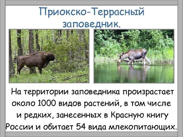 Приокско-Террасный заповедник. На территории заповедника произрастает около 1000 видов растений, в том числе и редких, занесенных в Красную книгу России и обитает 54 вида млекопитающих. 