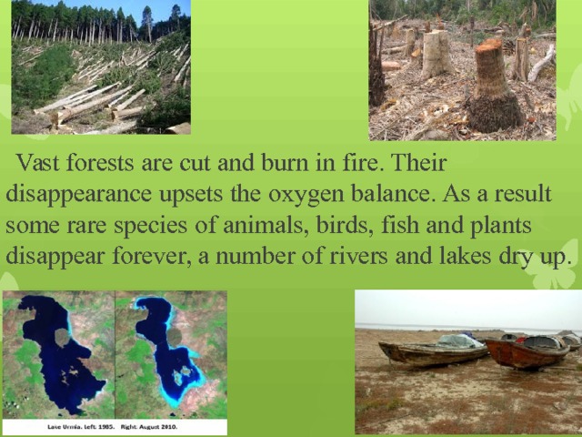  Vast forests are cut and burn in fire. Their disappearance upsets the oxygen balance. As a result some rare species of animals, birds, fish and plants disappear forever, a number of rivers and lakes dry up. 