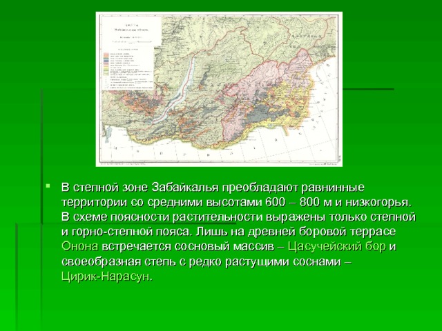 В степной зоне Забайкалья преобладают равнинные территории со средними высотами 600 – 800 м и низкогорья. В схеме поясности растительности выражены только степной и горно-степной пояса. Лишь на древней боровой террасе Онона  встречается сосновый массив – Цасучейский бор  и своеобразная степь с редко растущими соснами – Цирик-Нарасун . 