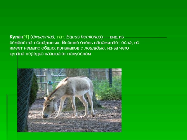 Кула́н [1] ( джигетай , лат.   Equus hemionus ) — вид из семейства лошадиных. Внешне очень напоминает осла , но имеет немало общих признаков с лошадью , из-за чего кулана нередко называют полуослом 