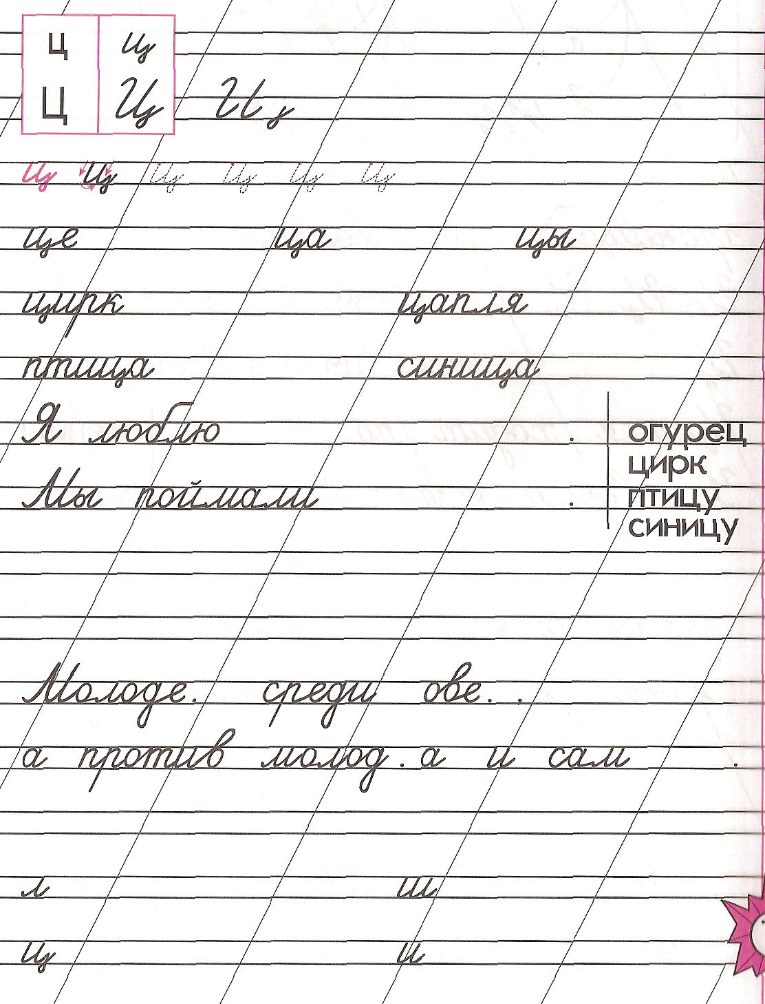 Письмо ц 1 класс. Пропись строчной буквы ц. Прописать букву ц 1 класс. Заглавная и строчная буква ц. Письменная строчная буква ц.