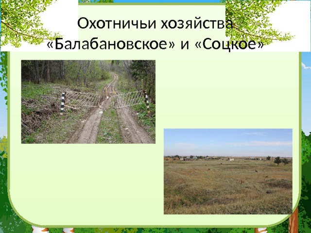 Охотничьи хозяйства «Балабановское» и «Соцкое» 