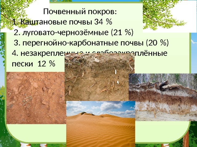  Почвенный покров:  1. Каштановые почвы 34 %  2. луговато-чернозёмные (21 %)  3. перегнойно-карбонатные почвы (20 %)  4. незакрепленные и слабозакреплённые пески 12 % 